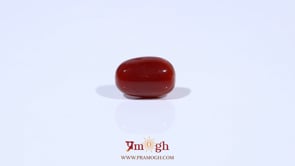 Red Coral - 3 Carat