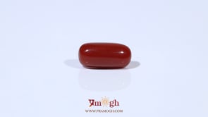 Red Coral - 3.84 Carat