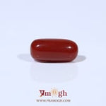 Red Coral - 3.84 Carat