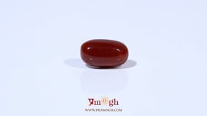 Red Coral - 3.74 Carat