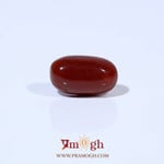 Red Coral - 3.74 Carat