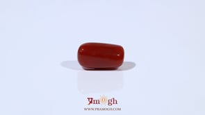 Red Coral - 3.86 Carat