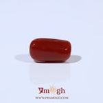 Red Coral - 3.86 Carat