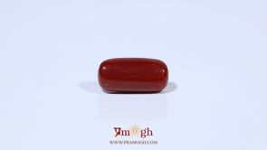 Red Coral - 4.22 Carat