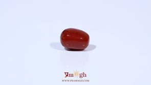 Red Coral - 3.6 Carat