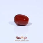Red Coral - 3.6 Carat
