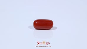 Red Coral - 3.6 Carat