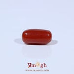 Red Coral - 3.6 Carat