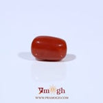 Red Coral - 3.21 Carat