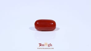 Red Coral - 3.09 Carat