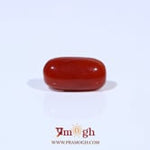 Red Coral - 3.09 Carat