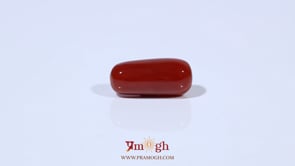 Red Coral - 5.18 Carat