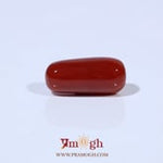 Red Coral - 5.18 Carat