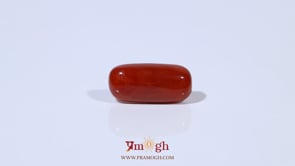 Red Coral - 4.5 Carat