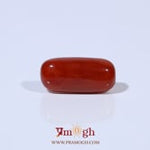 Red Coral - 4.5 Carat