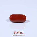 Red Coral - 4.54 Carat