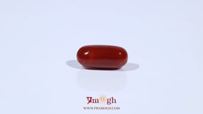Red Coral - 4.67 Carat