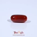Red Coral - 4.67 Carat
