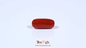 Red Coral - 4.36 Carat