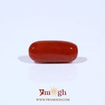 Red Coral - 4.36 Carat