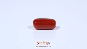 Red Coral - 5.16 Carat