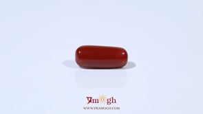 Red Coral - 4.5 Carat