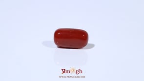 Red Coral - 4.63 Carat