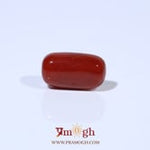 Red Coral - 4.63 Carat