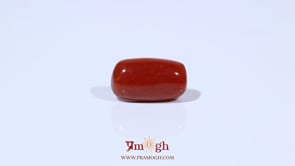 Red Coral - 4.8 Carat
