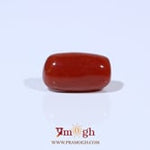 Red Coral - 4.8 Carat