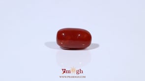Red Coral - 4.63 Carat