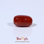 Red Coral - 4.63 Carat