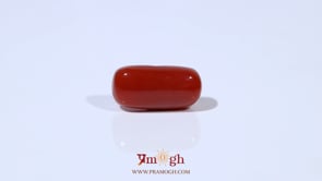 Red Coral - 4.96 Carat