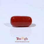 Red Coral - 4.96 Carat