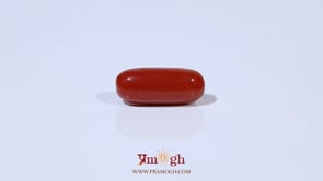 Red Coral - 4.96 Carat