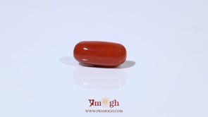 Red Coral - 4.95 Carat