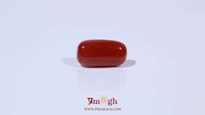 Red Coral - 4.69 Carat