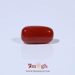 Red Coral - 4.69 Carat