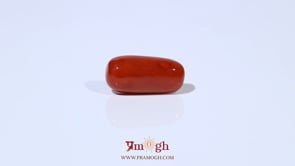 Red Coral - 4.73 Carat