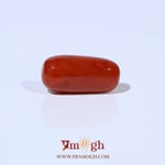 Red Coral - 4.73 Carat