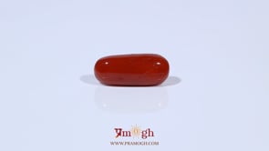 Red Coral - 4.62 Carat