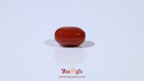 Red Coral - 4.93 Carat
