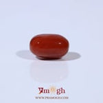 Red Coral - 4.93 Carat