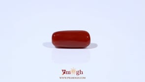 Red Coral - 5.23 Carat