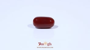 Red Coral - 4.55 Carat
