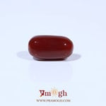 Red Coral - 4.55 Carat
