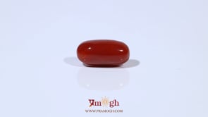 Red Coral - 5.1 Carat