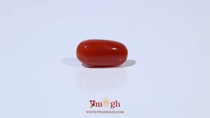 Red Coral - 4.5 Carat