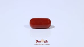 Red Coral - 4.8 Carat