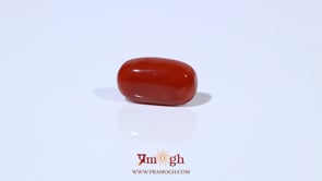 Red Coral - 4.67 Carat